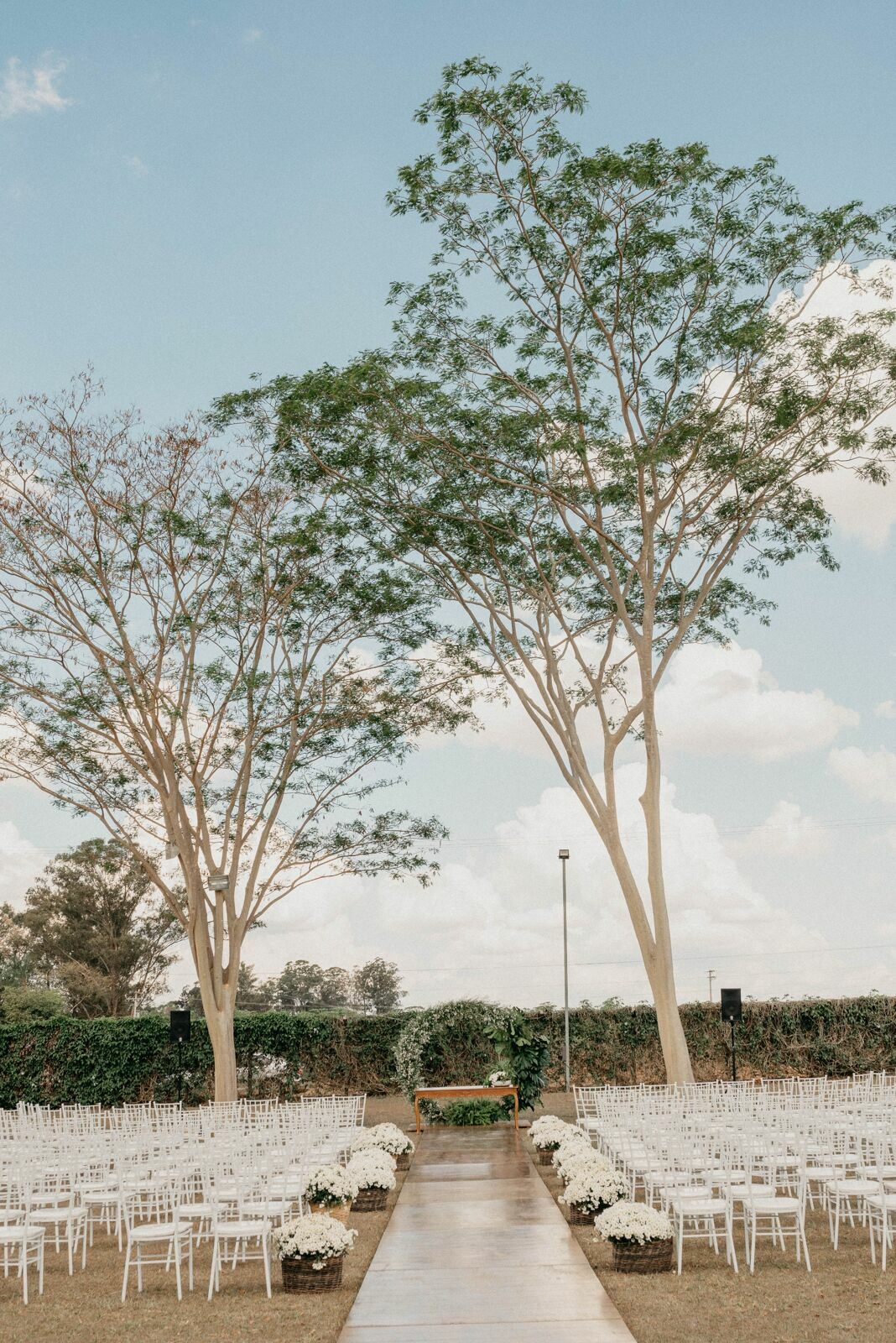 Foto Amanda e Gustavo | Luz do Campo Eventos - Imagem 23
