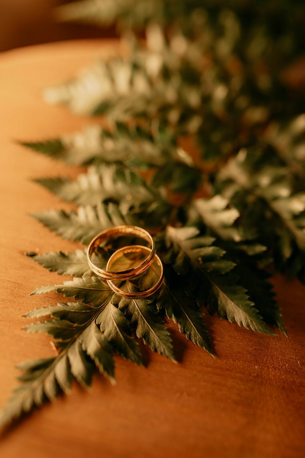 Foto Amanda e Gustavo | Luz do Campo Eventos - Imagem 92