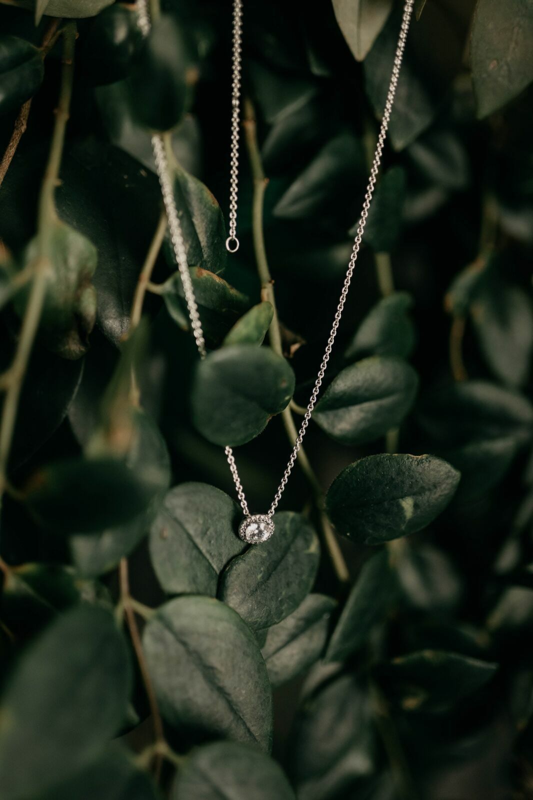 Foto Ingrid e Hugo | Villa Harmonia - Nova Odessa SP - Imagem 3