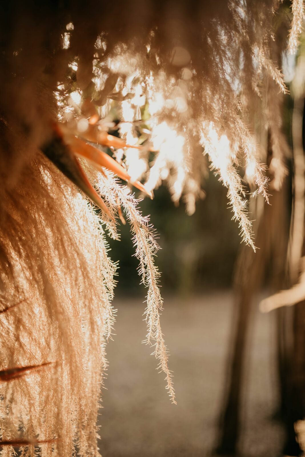 Foto Grazi e Rafa | Villa Mandacarú - Itu-SP - Imagem 37