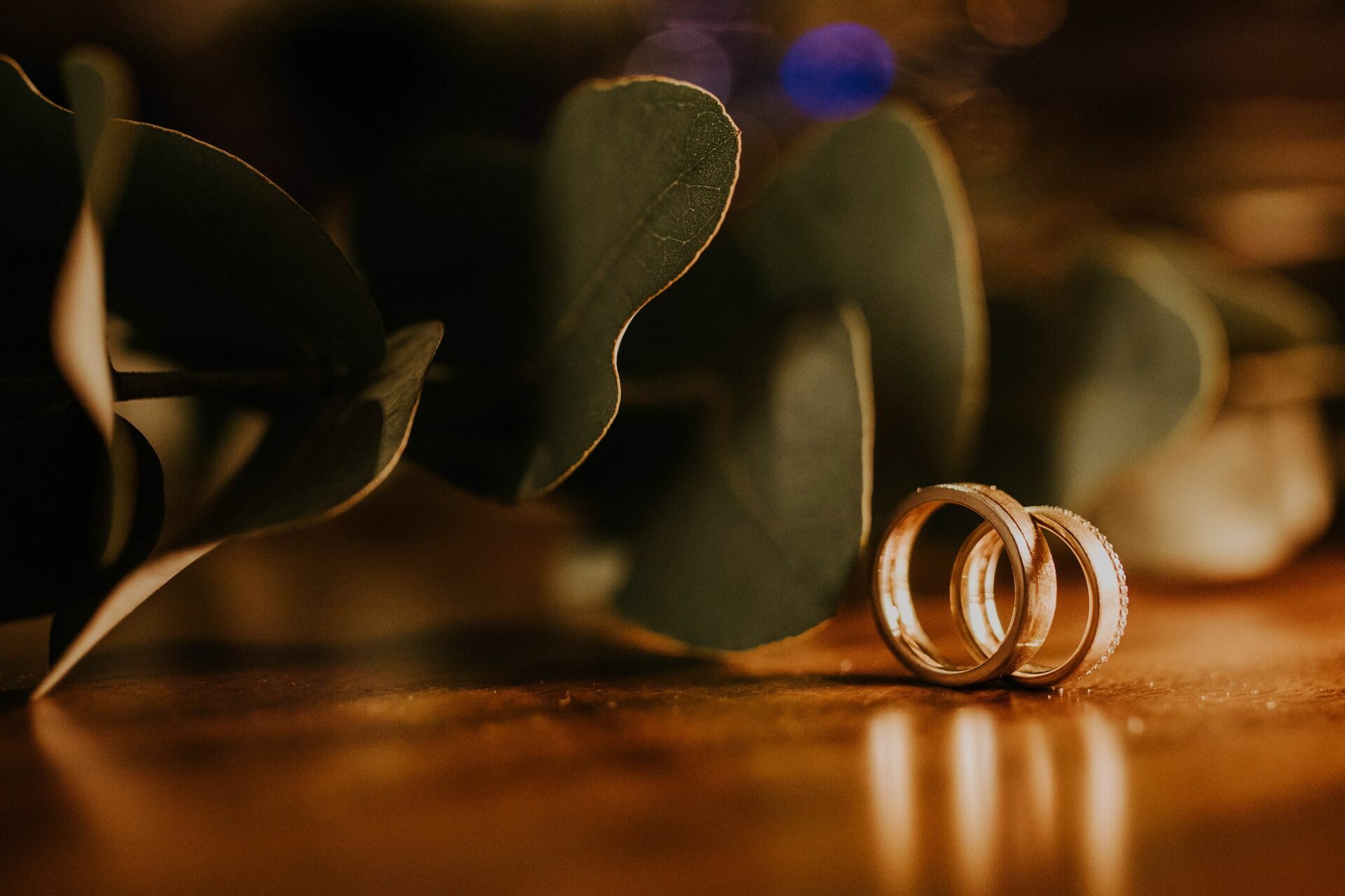 Foto Bianca e Gustavo - Imagem 133