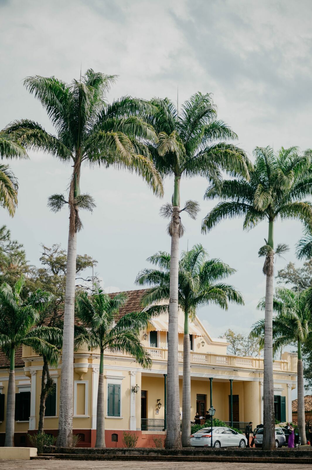 Foto Marianne e Fábio | Fazenda Santa Gertrudes - SP - Imagem 54
