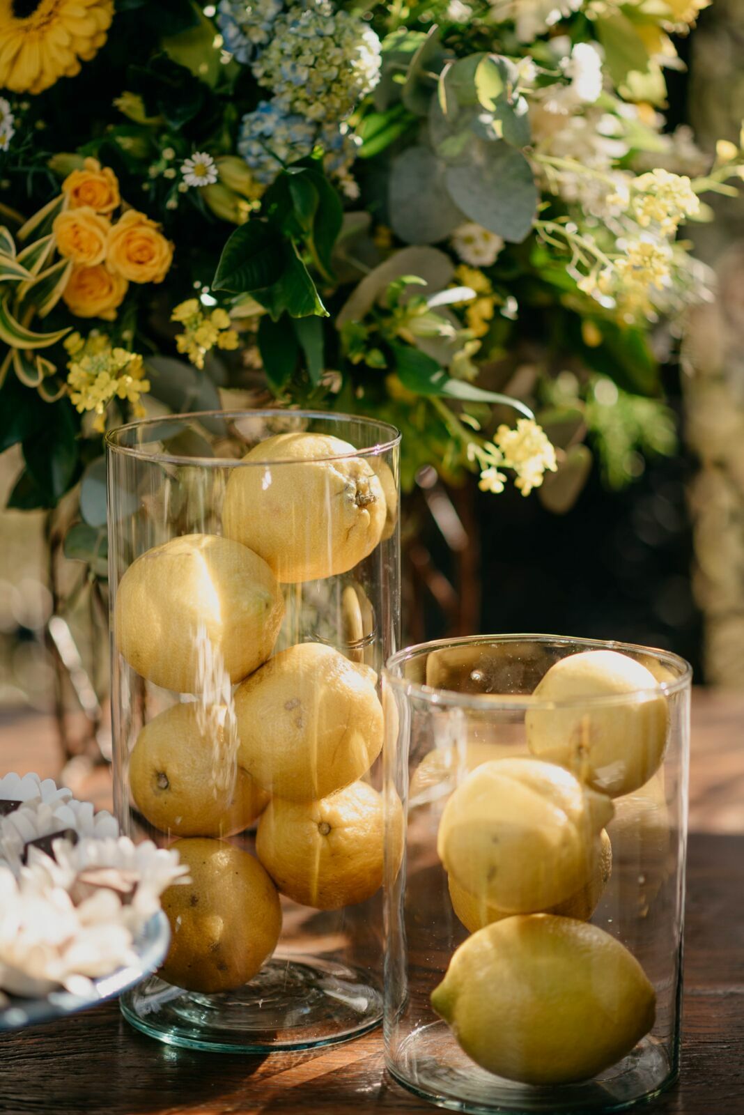 Foto Isadora e Filipe  - Imagem 70