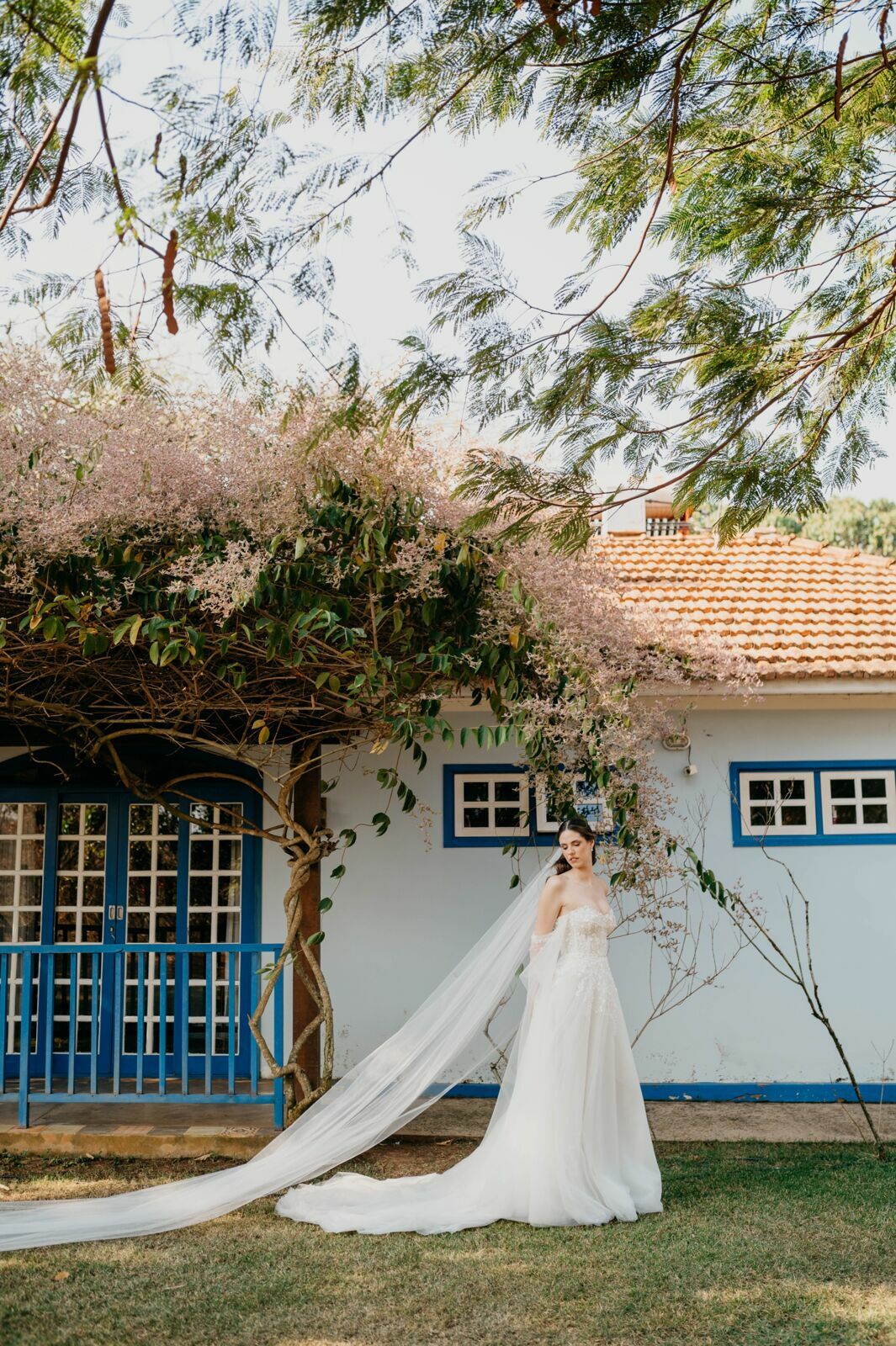 Foto Camila e Eduardo | Sitio Quero-quero - Limeira - SP Foto Camila e Eduardo | Sitio Quero-quero - Limeira - SP - Imagem 19