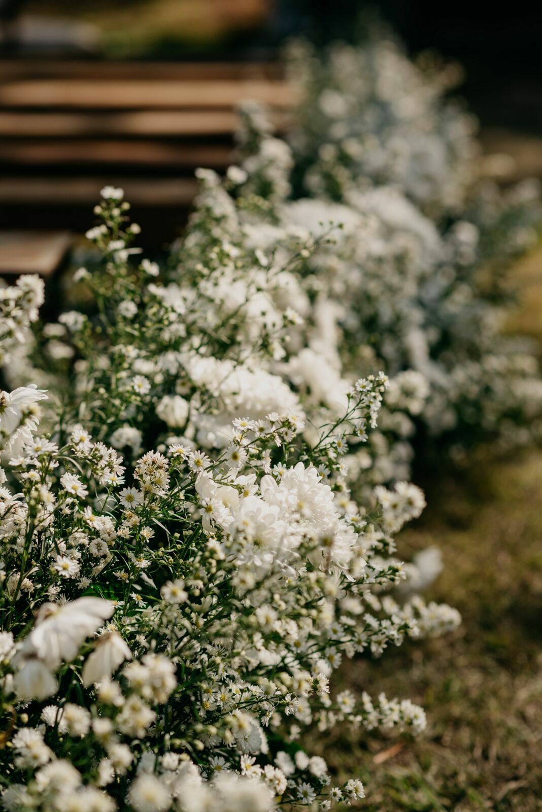 Foto Camila e Eduardo | Sitio Quero-quero - Limeira - SP Foto Camila e Eduardo | Sitio Quero-quero - Limeira - SP - Imagem 44