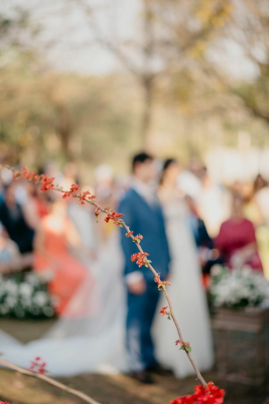 Foto Camila e Eduardo | Sitio Quero-quero - Limeira - SP Foto Camila e Eduardo | Sitio Quero-quero - Limeira - SP - Imagem 67