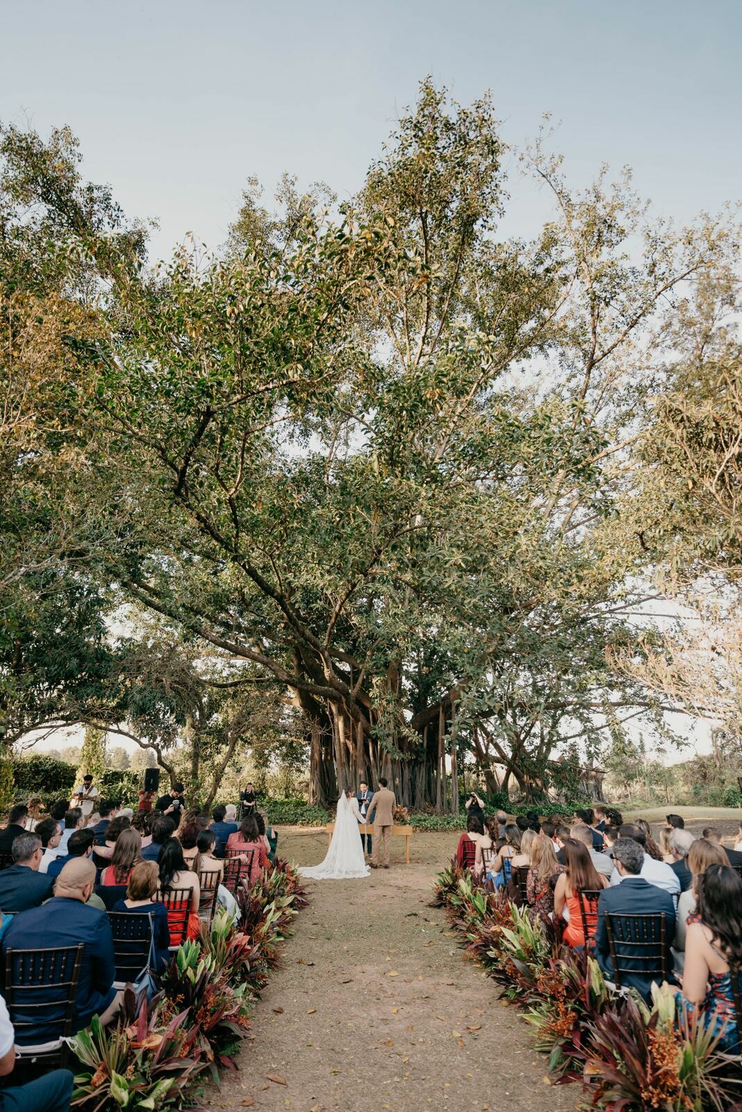 Foto Beatriz e Rodolfo | Fazenda Marambaia - Limeira SP - Imagem 59
